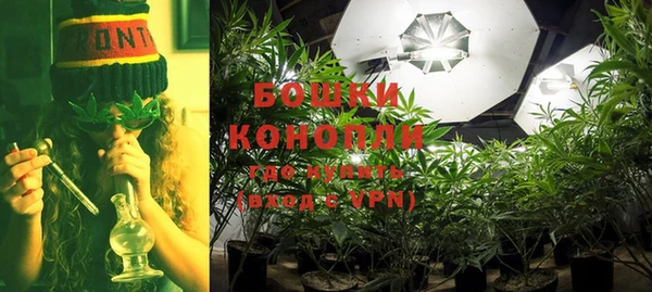 дживик Ладушкин