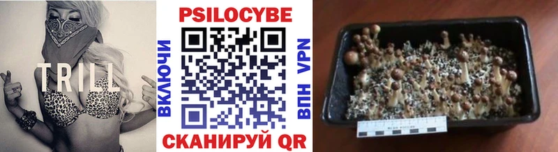 Псилоцибиновые грибы Magic Shrooms  Лесозаводск 